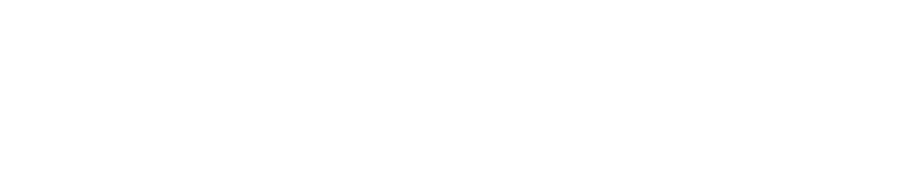 Centrum voor Zorgveiligheid